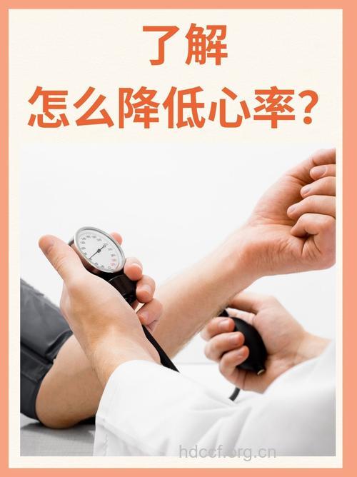 用传统医药平稳心律