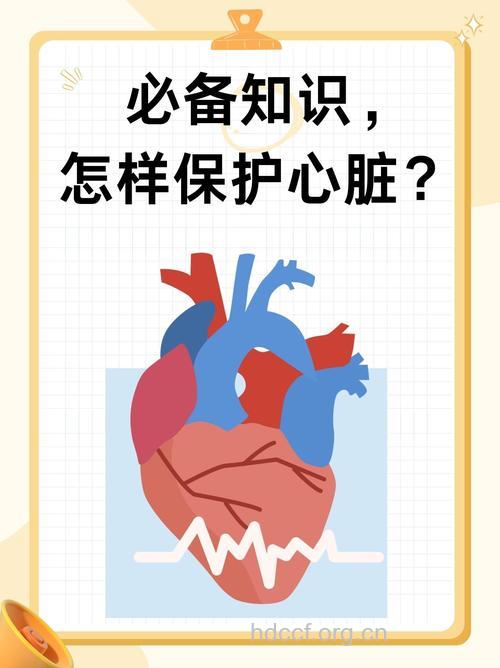 护心预防房颤