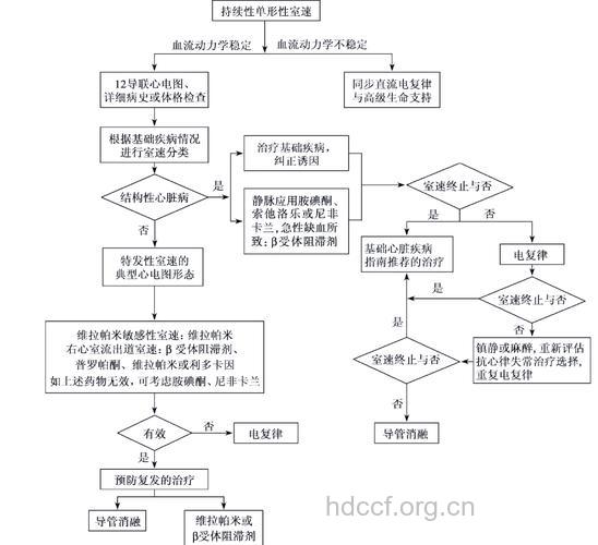 室性心动过速的识别和处理