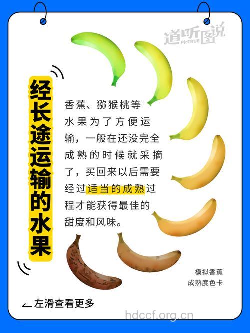 有些食物不是越新鲜越好