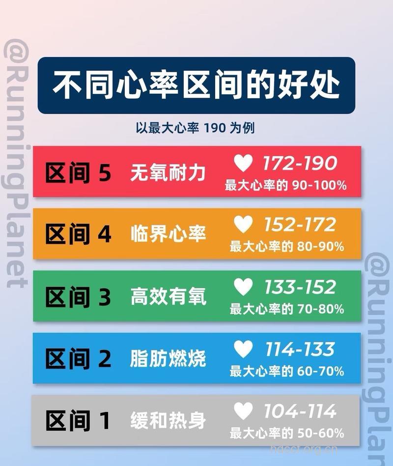 心律、心率同姓不同名