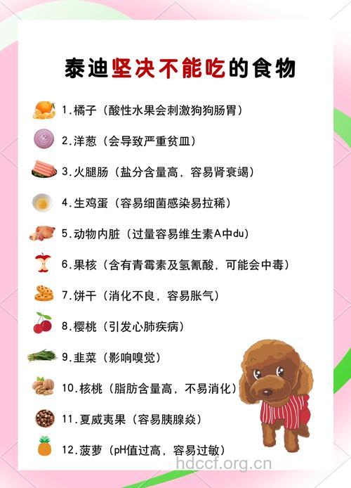 什么食物不该吃