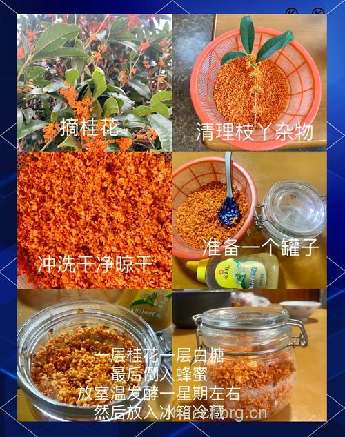 自制桂花蜜的做法大全