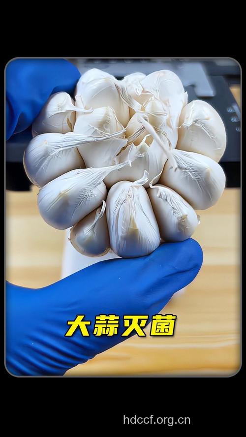 可以杀菌的蔬菜有哪些