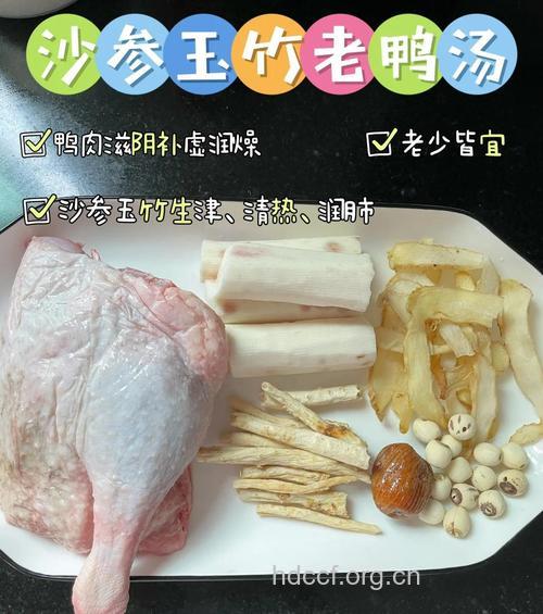 鸭汤的做法大全