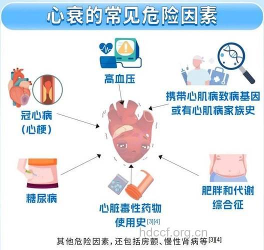 心力衰竭的10个致病和诱发因素