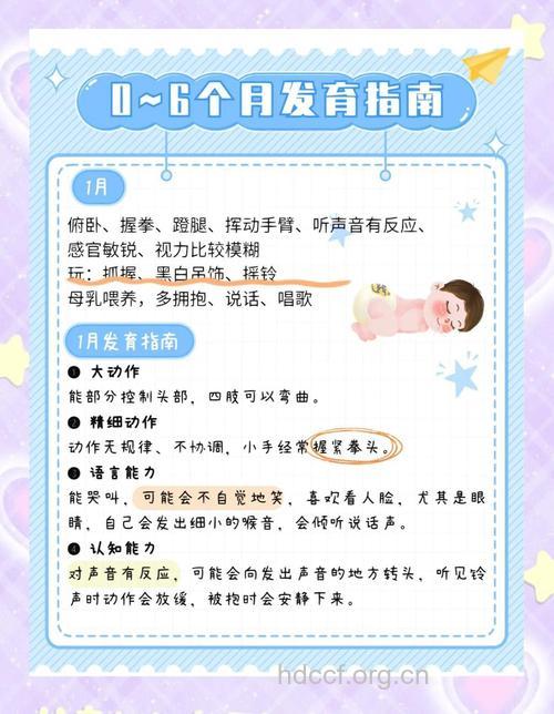 婴儿6月的生长发育