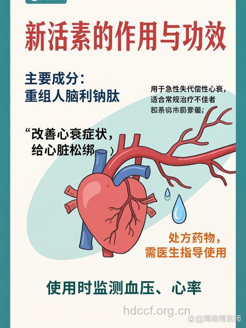 药物疗法有助于预防心力衰竭