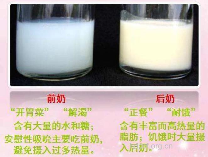 前奶和后奶的区别是什么?