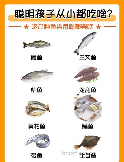 适合宝宝吃的三种鱼