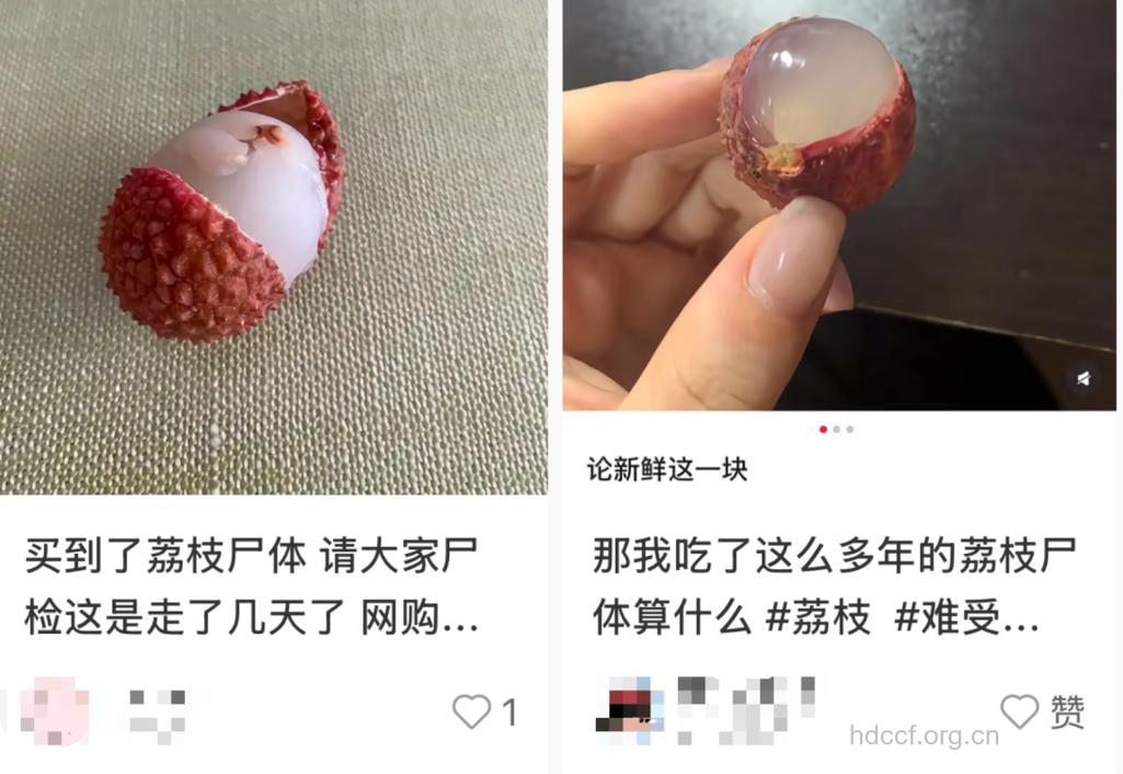 惊！荔枝吃多了会死亡？