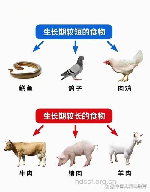 宝宝尽量少吃生长周期短的动物肉