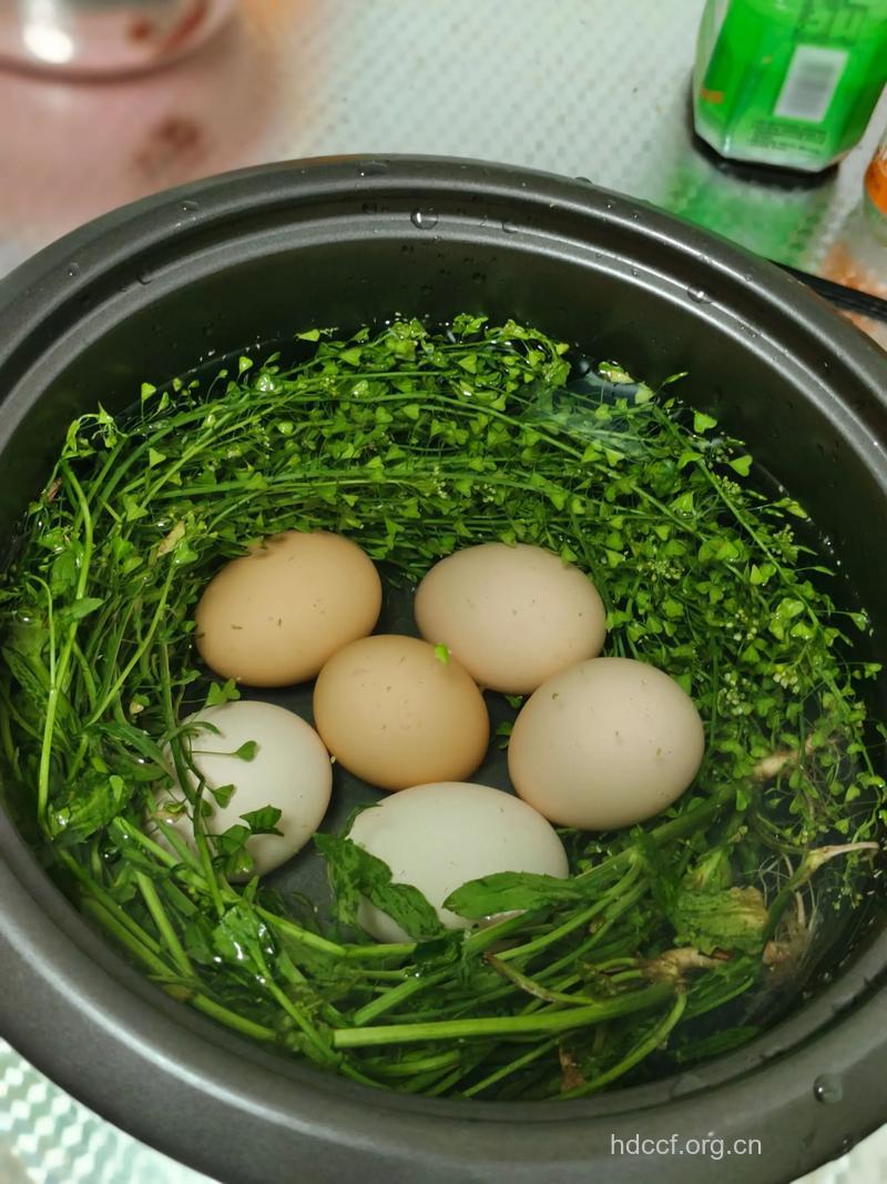 地菜花煮鸡蛋的新做法