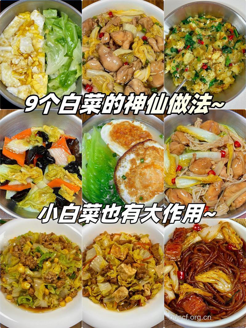 营养美味的白菜做法