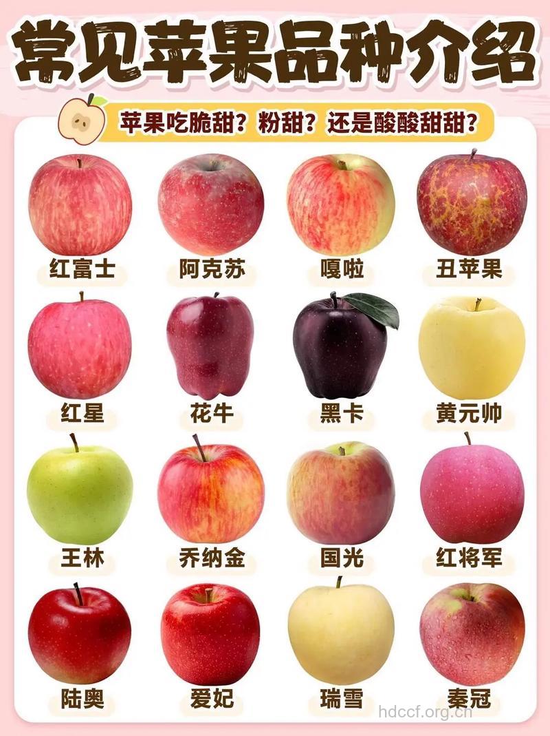 水果的营养不同 区别于其颜色