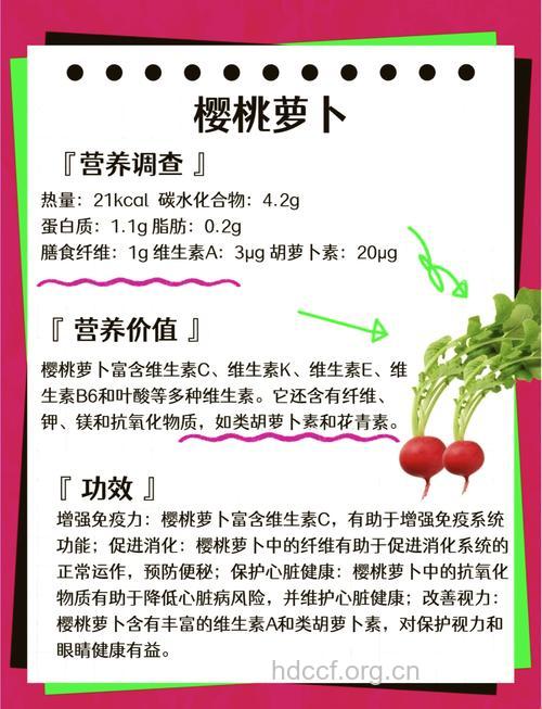 樱桃萝卜减肥法