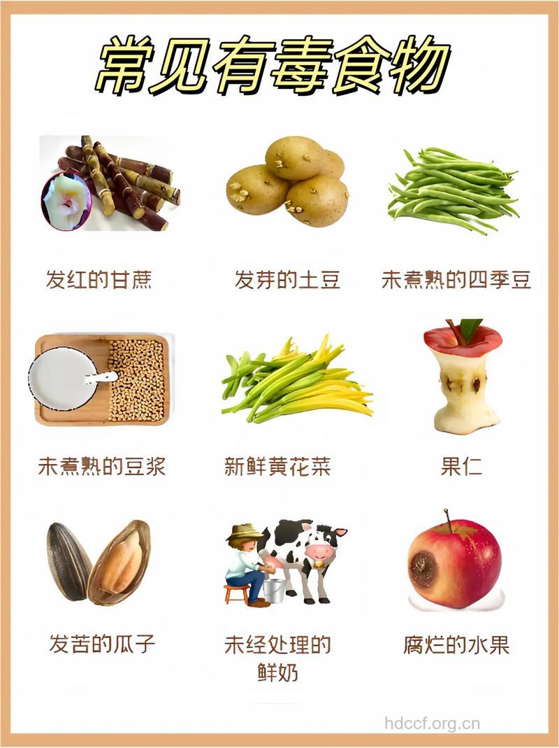 天然有毒食物汇总