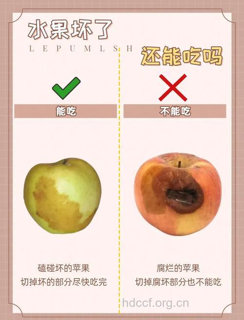 吃水果的6种错误观念