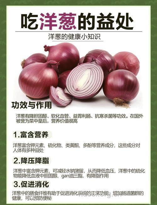 生吃洋葱防心脏病 饮食好习惯助你健康长寿