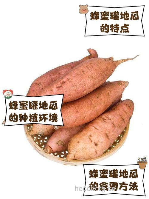 红薯与蜂蜜巧搭配防止动脉硬化