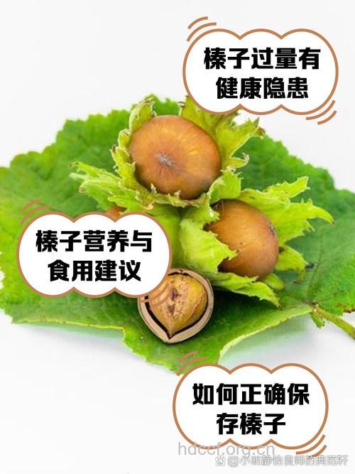 电脑族多吃榛子可变聪明