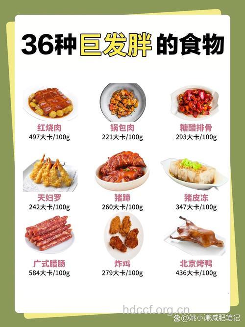 针对不同肥胖的不同餐饮