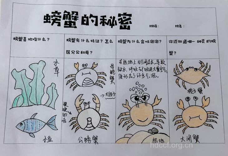 螃蟹的做法 你不知道的隐藏技巧“扫盲班”