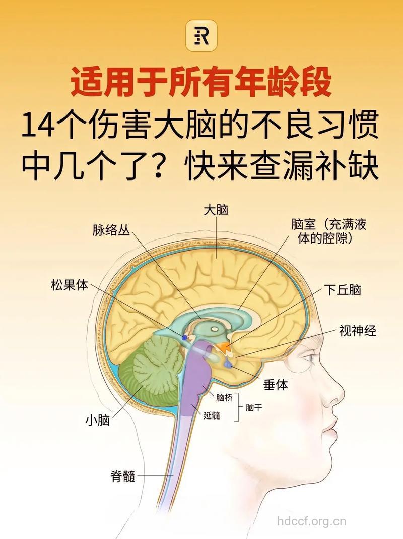 损害儿童大脑的十种坏习惯