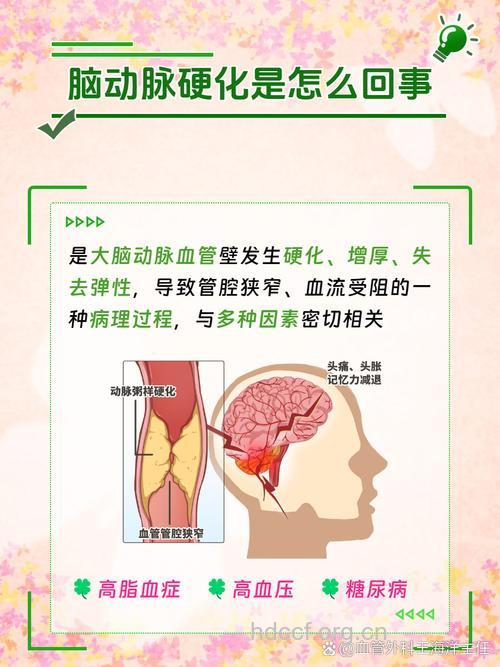 脑动脉硬化早期状况及其防治