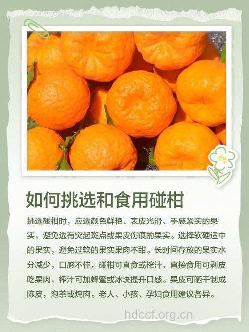 教你如何享用橘子不上火法