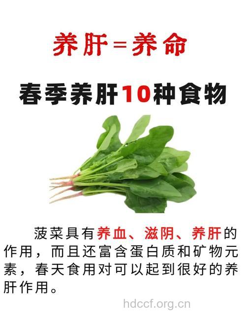 养肝菜谱春季正当时