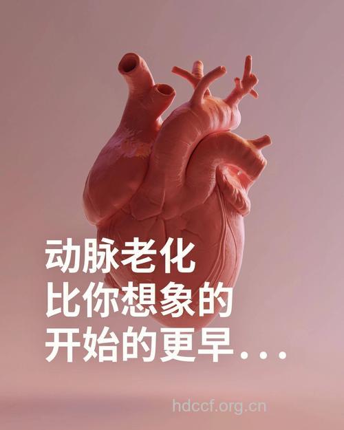 男人衰老的真凶：动脉老化