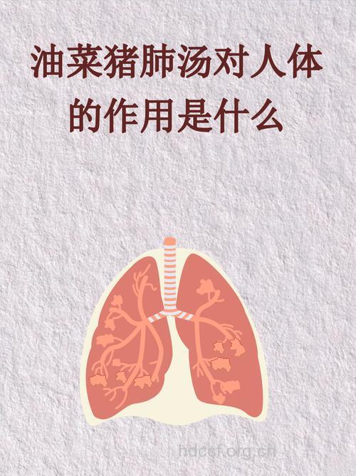 老人喝汤需谨慎 3类汤品有损健康