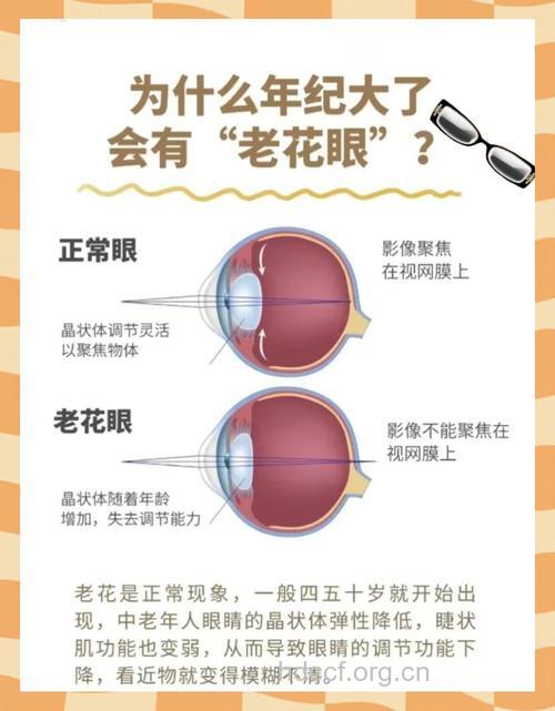 老年人佩戴老花镜 谨防四个误区