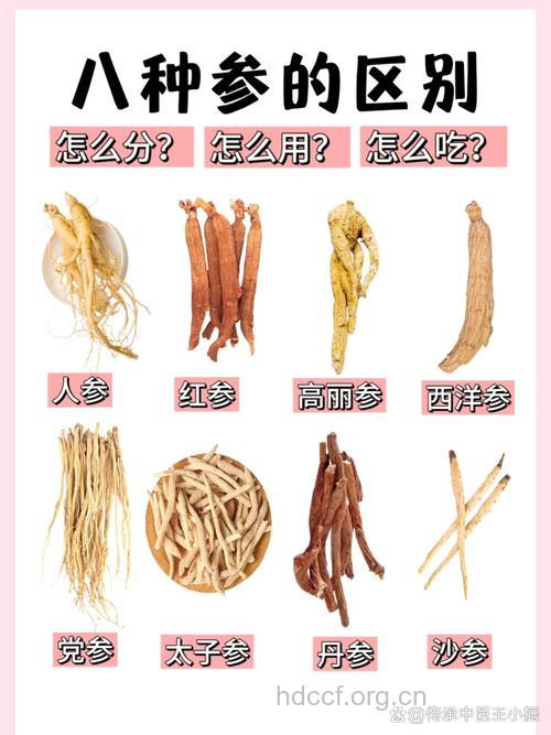 儿童不宜食补人参