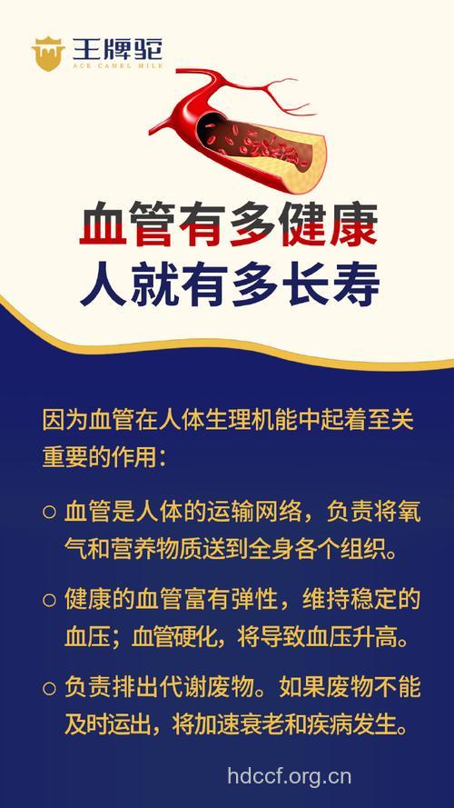 保护好动脉长寿才有希望