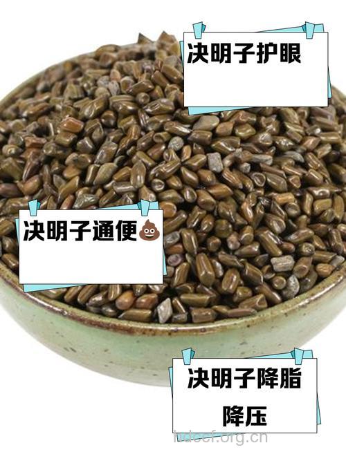 炒决明子功效多 降压又调脂