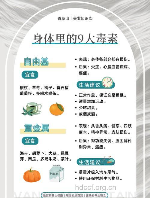 全素主义:是健康还是不利健康?