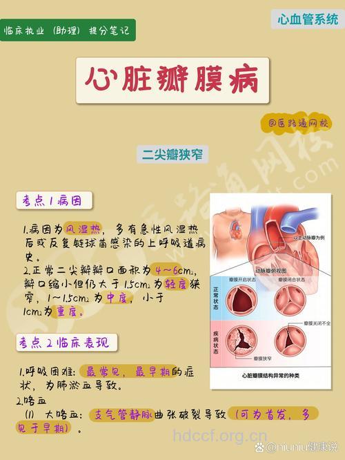心脏瓣膜病发病的原因有哪些