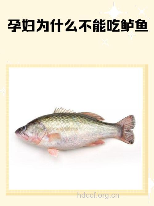 错误吃鱼小心惹上致命疾病