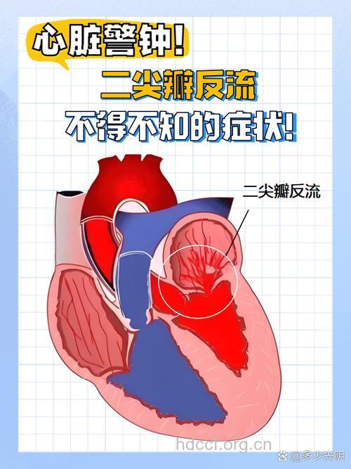 心脏瓣膜病常见的并发症有哪些