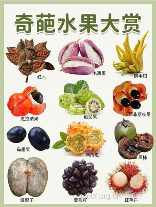 畸形水果到底能不能吃？