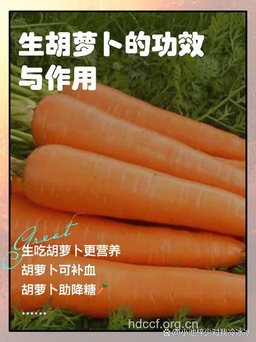 专家分析胡萝卜生吃的功效