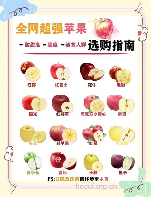 可以熟吃的水果分析