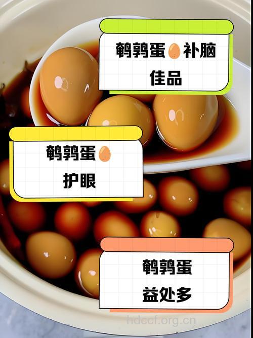 办公族多吃鹌鹑蛋可以补脑