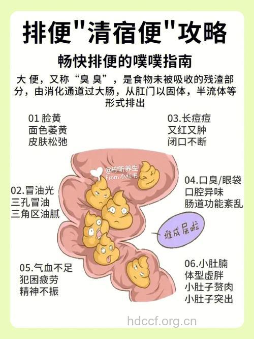 如何排宿便 推荐5个有效方法