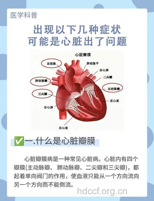 心脏瓣膜常见疾病