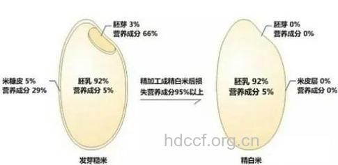 淘米淘二次维生素B1丢八成