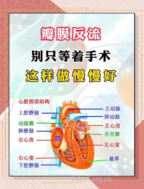 心脏瓣膜病的治疗法