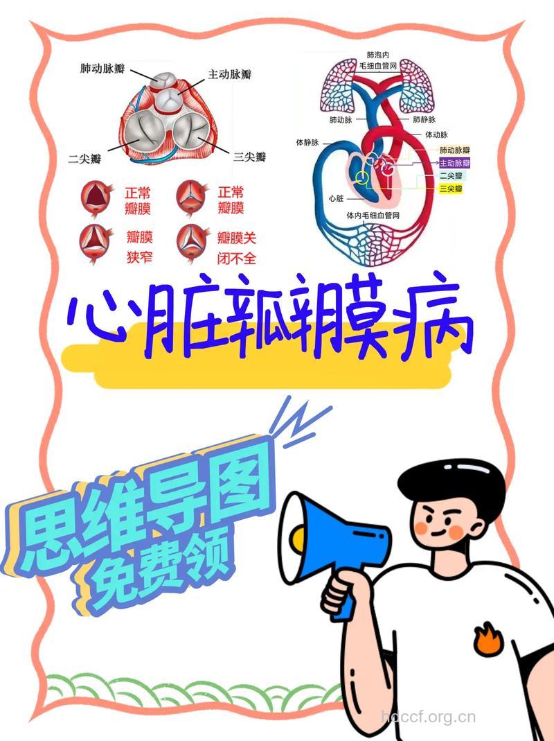 如何正确认识心脏瓣膜病?